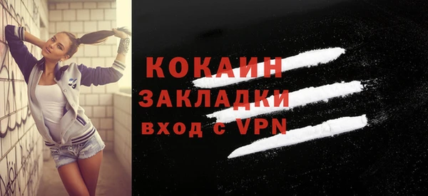 ГАЛЛЮЦИНОГЕННЫЕ ГРИБЫ Инсар