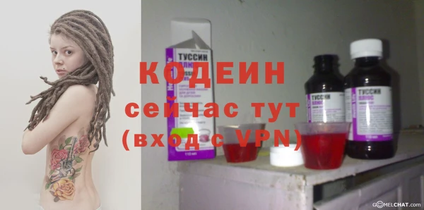 ГАЛЛЮЦИНОГЕННЫЕ ГРИБЫ Инсар