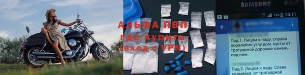 ГАЛЛЮЦИНОГЕННЫЕ ГРИБЫ Инсар