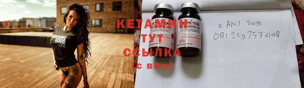 хмурый Тайга