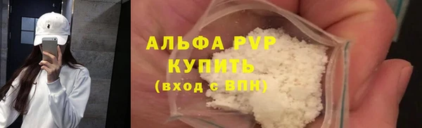 ГАЛЛЮЦИНОГЕННЫЕ ГРИБЫ Инсар