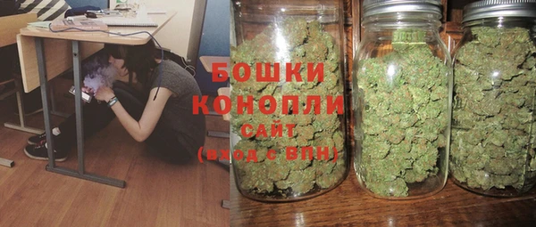 ГАЛЛЮЦИНОГЕННЫЕ ГРИБЫ Инсар
