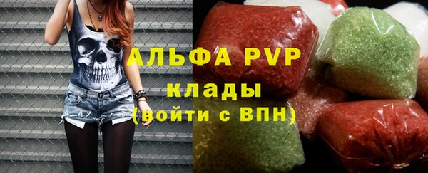 ГАЛЛЮЦИНОГЕННЫЕ ГРИБЫ Инсар