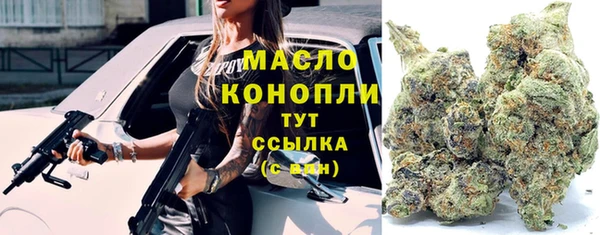 ГАЛЛЮЦИНОГЕННЫЕ ГРИБЫ Инсар