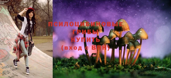 ГАЛЛЮЦИНОГЕННЫЕ ГРИБЫ Инсар