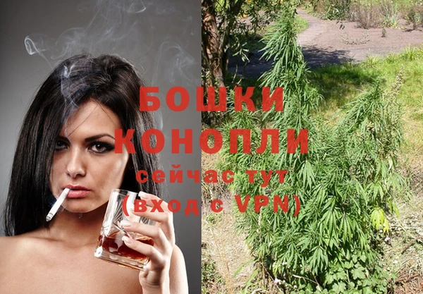 амф Инта
