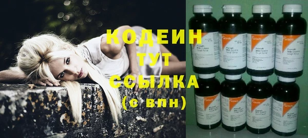 стаф Иннополис