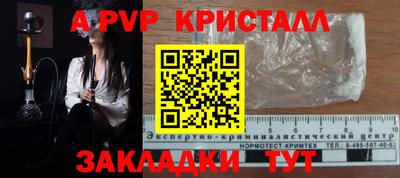 PSILOCYBIN Донской