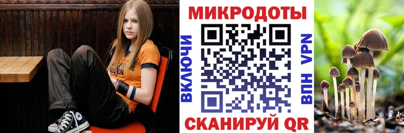 Галлюциногенные грибы MAGIC MUSHROOMS  Зима 